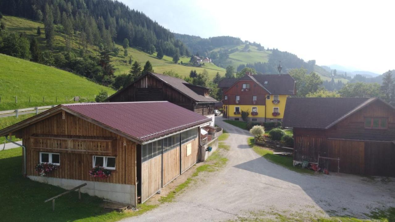 Panoramahof Gupf * Grobming