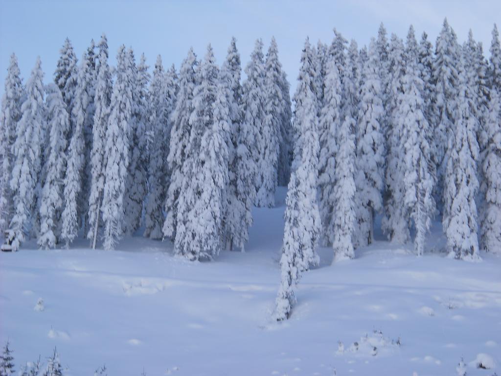 Panoramahof Gupf Farm stay