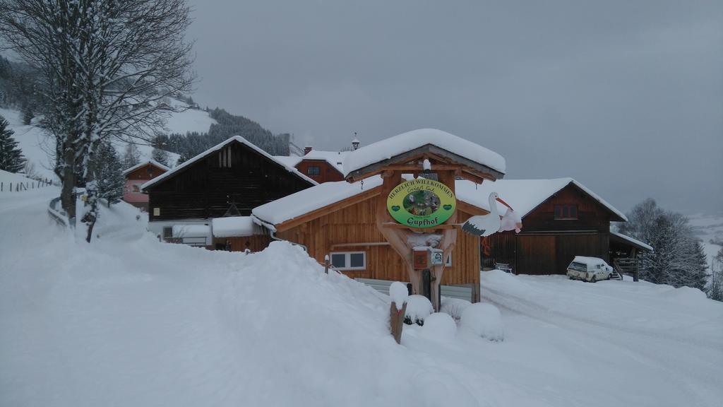 Gospodarstwo agroturystyczne Panoramahof Gupf