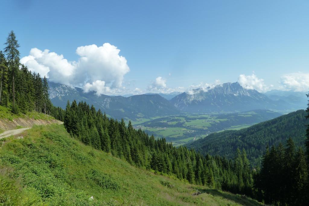 Panoramahof Gupf Gospodarstwo agroturystyczne