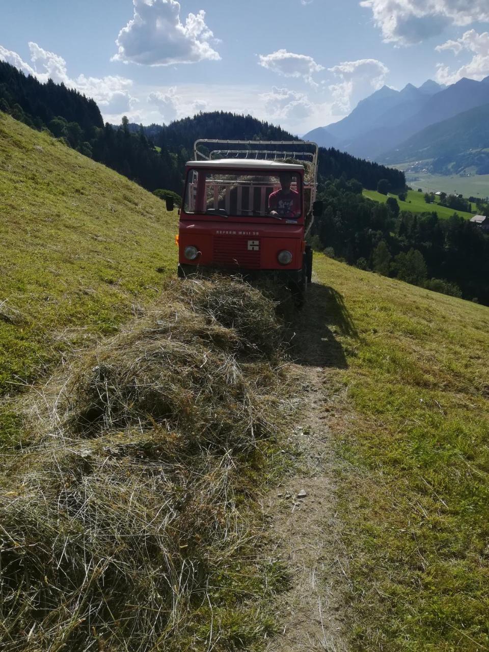 Panoramahof Gupf Gospodarstwo agroturystyczne *