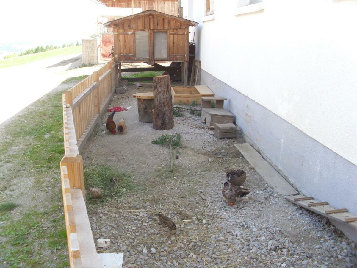 Panoramahof Gupf * Grobming